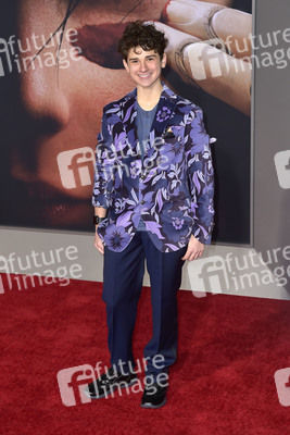 Filmpremiere 'Alita: Battle Angel' in Los Angeles