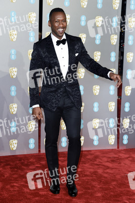 BAFTA Film Awards 2019 in London