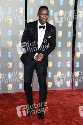 BAFTA Film Awards 2019 in London