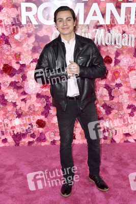 Filmpremiere 'Isn't It Romantic' in Los Angeles