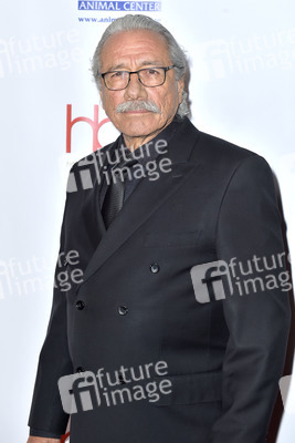 Hollywood Beauty Awards 2019 in Los Angeles