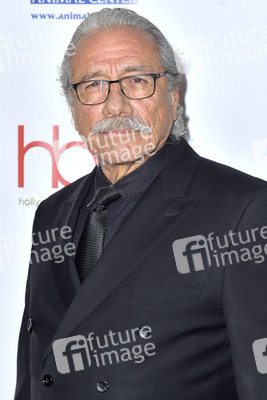 Hollywood Beauty Awards 2019 in Los Angeles