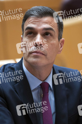Pedro Sanchez bei Senatssitzung in Madrid