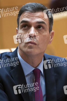 Pedro Sanchez bei Senatssitzung in Madrid
