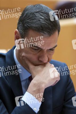 Pedro Sanchez bei Senatssitzung in Madrid