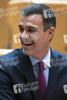 Pedro Sanchez bei Senatssitzung in Madrid