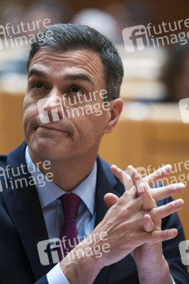 Pedro Sanchez bei Senatssitzung in Madrid