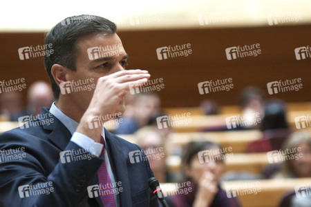 Pedro Sanchez bei Senatssitzung in Madrid
