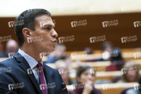 Pedro Sanchez bei Senatssitzung in Madrid