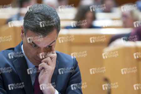 Pedro Sanchez bei Senatssitzung in Madrid