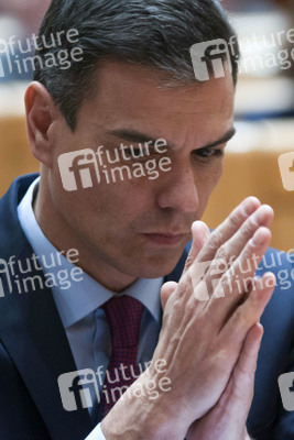 Pedro Sanchez bei Senatssitzung in Madrid