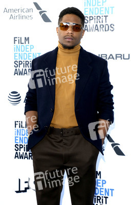 Film Independent Spirit Awards 2019 in Santa Monica