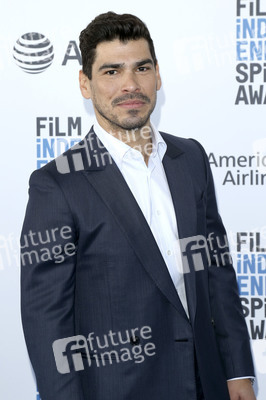 Film Independent Spirit Awards 2019 in Santa Monica
