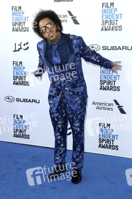 Film Independent Spirit Awards 2019 in Santa Monica