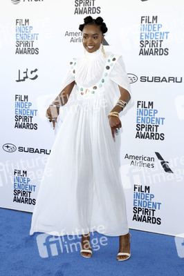 Film Independent Spirit Awards 2019 in Santa Monica