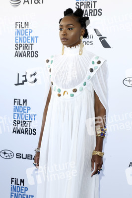Film Independent Spirit Awards 2019 in Santa Monica