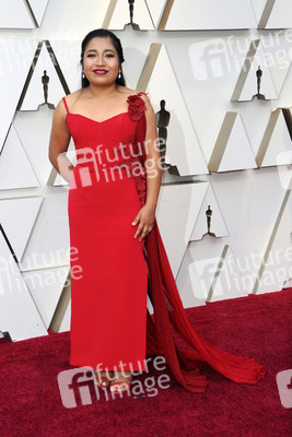 Oscar-Verleihung 2019 in Los Angeles