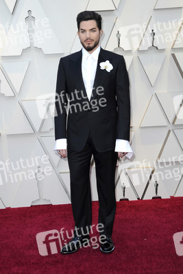 Oscar-Verleihung 2019 in Los Angeles