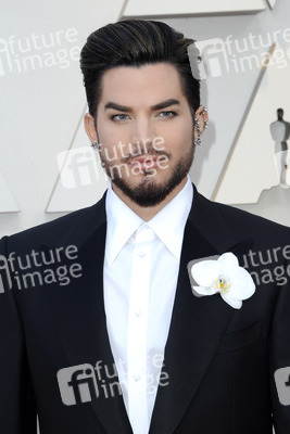 Oscar-Verleihung 2019 in Los Angeles