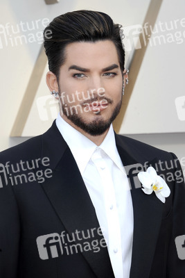 Oscar-Verleihung 2019 in Los Angeles