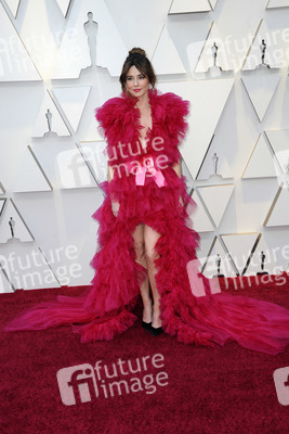 Oscar-Verleihung 2019 in Los Angeles