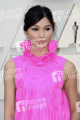 Oscar-Verleihung 2019 in Los Angeles