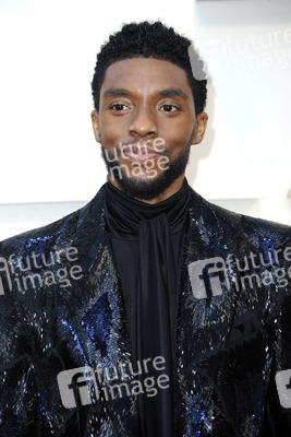 Oscar-Verleihung 2019 in Los Angeles