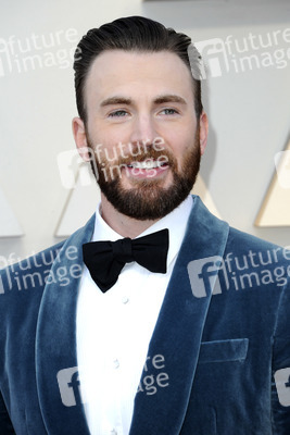 Oscar-Verleihung 2019 in Los Angeles