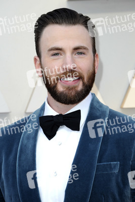 Oscar-Verleihung 2019 in Los Angeles