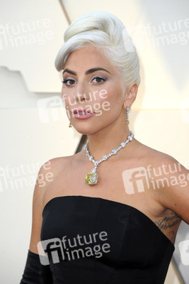 Oscar-Verleihung 2019 in Los Angeles