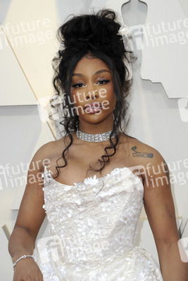 Oscar-Verleihung 2019 in Los Angeles