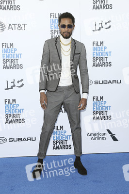 Film Independent Spirit Awards 2019 in Santa Monica