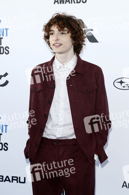 Film Independent Spirit Awards 2019 in Santa Monica