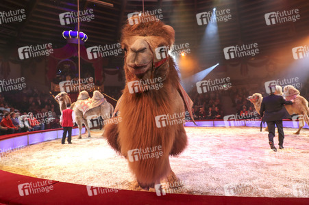 Premiere 3. Winterprogramm 2019 Circus Krone in München