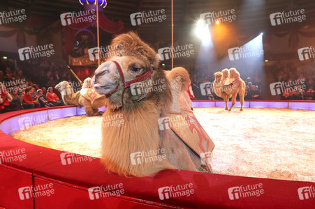 Premiere 3. Winterprogramm 2019 Circus Krone in München