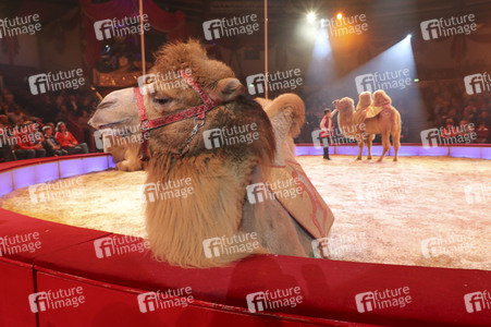 Premiere 3. Winterprogramm 2019 Circus Krone in München