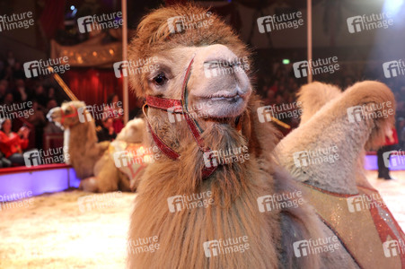 Premiere 3. Winterprogramm 2019 Circus Krone in München