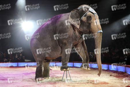 Premiere 3. Winterprogramm 2019 Circus Krone in München