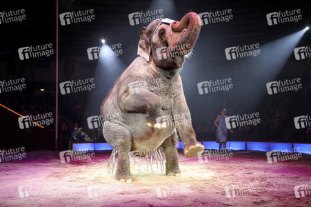 Premiere 3. Winterprogramm 2019 Circus Krone in München