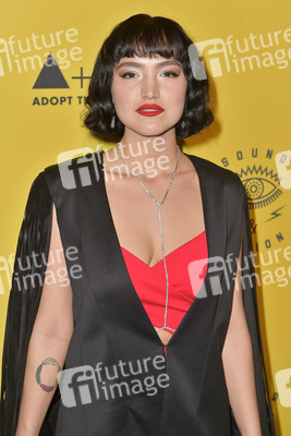 Adopt the Arts Benefit Gala 2019 in Los Angeles
