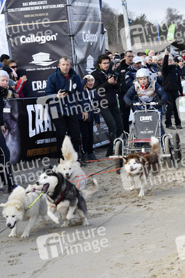 Baltic Lights Hunderennen 2019 auf Usedom