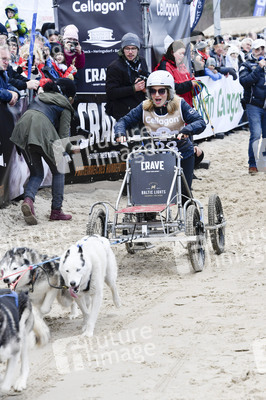 Baltic Lights Hunderennen 2019 auf Usedom