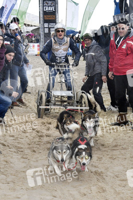 Baltic Lights Hunderennen 2019 auf Usedom