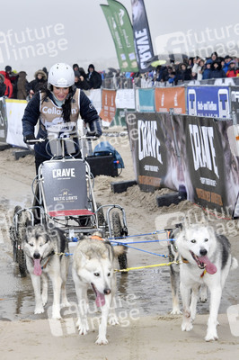 Baltic Lights Hunderennen 2019 auf Usedom