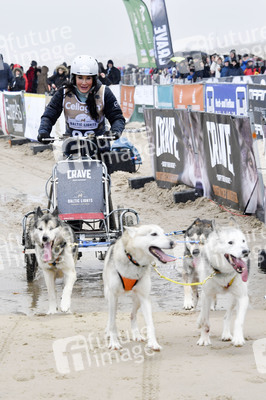 Baltic Lights Hunderennen 2019 auf Usedom