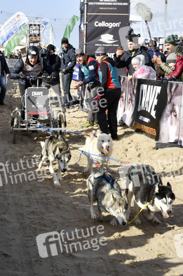 Baltic Lights Hunderennen 2019 auf Usedom
