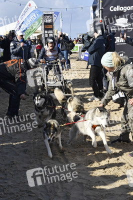 Baltic Lights Hunderennen 2019 auf Usedom
