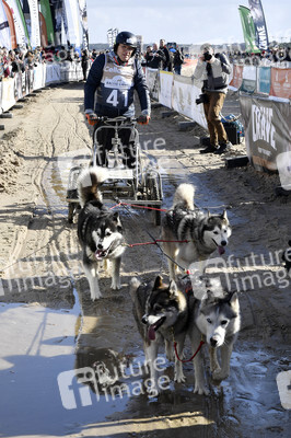 Baltic Lights Hunderennen 2019 auf Usedom