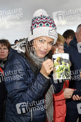 Baltic Lights Hunderennen 2019 auf Usedom