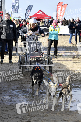 Baltic Lights Hunderennen 2019 auf Usedom